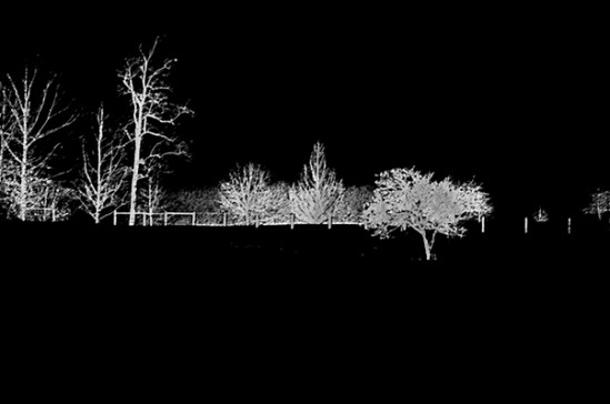 100206-a-066-Edit-602x