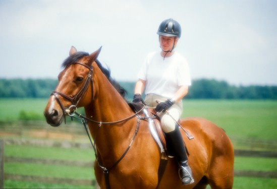 Horse And Rider, Soft, Bascule Farm, Poolesville, Maryland, Summ