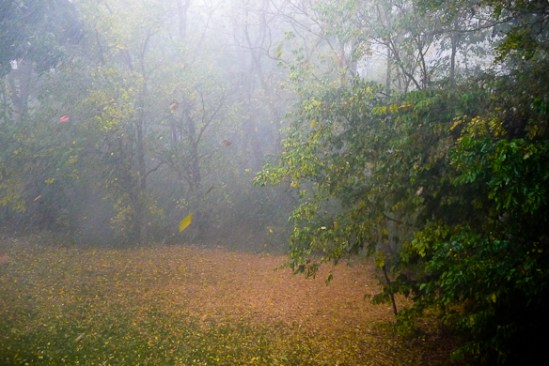 2013-10-07-Lx5-a-042