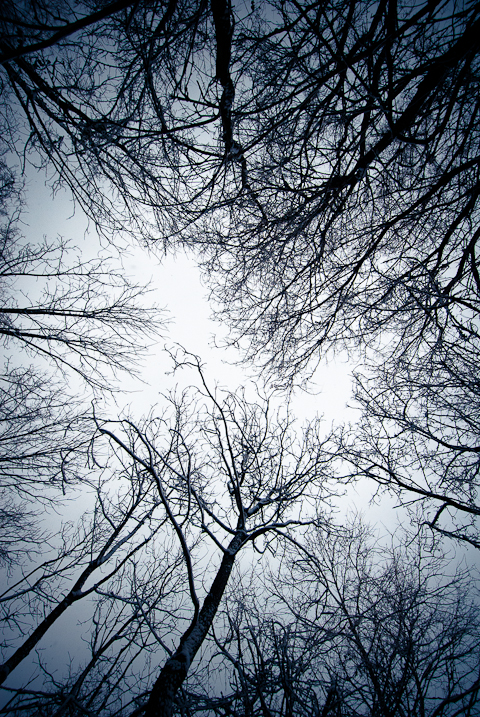Witch's Vortex, Snow Day, Hunter Hill, Hagerstown, Maryland, Dec