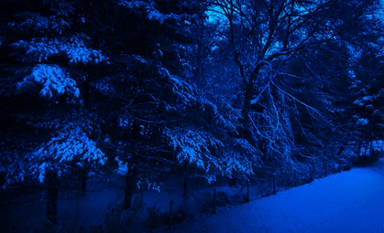 Blue Hour, Snow Day, Hunter Hill, Hagerstown, Maryland, December