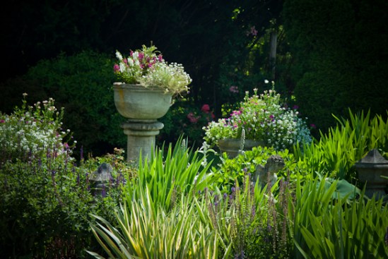 Surreybrooke Gardens, Middletown, Maryland, June 22, 2015