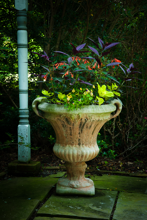 Surreybrooke Gardens, Middletown, Maryland, June 22, 2015