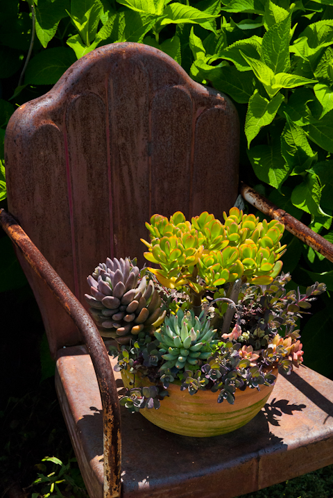 Surreybrooke Gardens, Middletown, Maryland, June 22, 2015